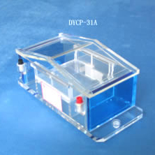 DYCP-31A